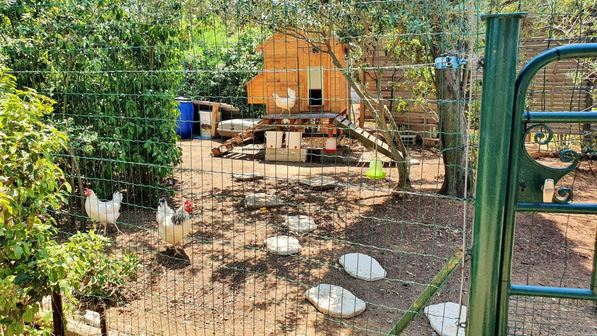 Villa Spacieuse A Beziers Avec Piscine Privee Et Jacuzzi Buitenkant foto